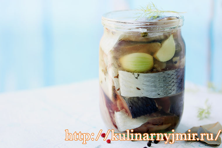 Pickled herring slices, homemade, spicy snack