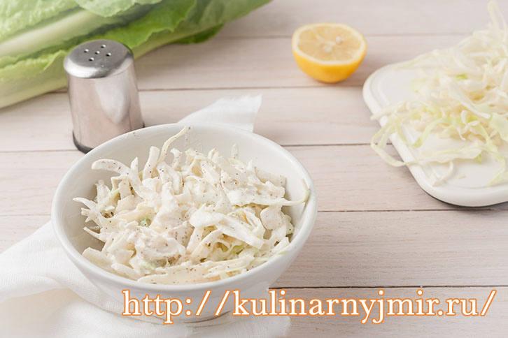 white cabbage cole slaw in white bowl on light wooden background