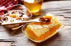 Как определить поддельный мед — запомните 6 основных моментов