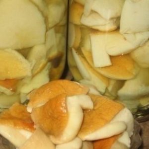 Маринованные белые грибы — очень вкусные!