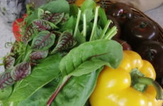 Салат из микса зелени — но очень полезный зеленый салат!